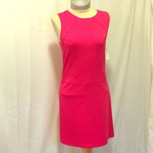 Eight Sixty Pink Shift Dress